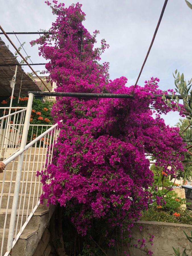 Ferienwohnung Cozy New Flat For 2 Or 3 Hvar Town Exterior foto